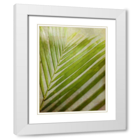 Elegant Frond II White Modern Wood Framed Art Print with Double Matting by Robinson, Emily