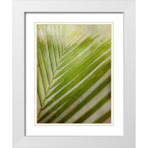 Elegant Frond II White Modern Wood Framed Art Print with Double Matting by Robinson, Emily