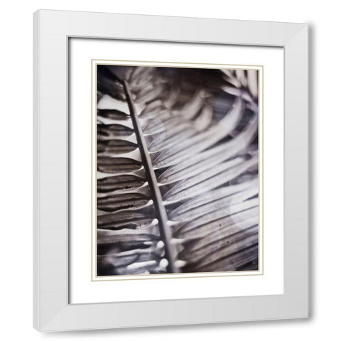 Silvery Frond I White Modern Wood Framed Art Print with Double Matting by Robinson, Emily