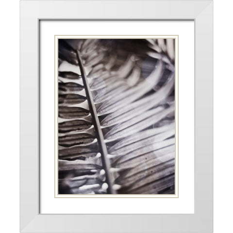 Silvery Frond I White Modern Wood Framed Art Print with Double Matting by Robinson, Emily