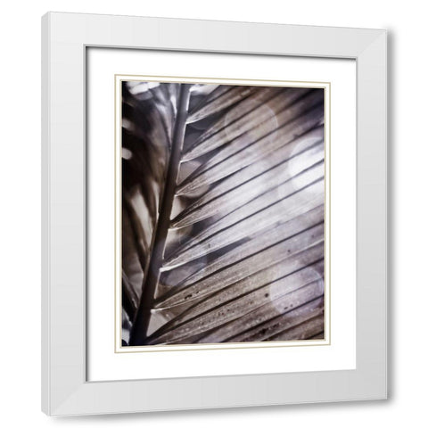Silvery Frond II White Modern Wood Framed Art Print with Double Matting by Robinson, Emily