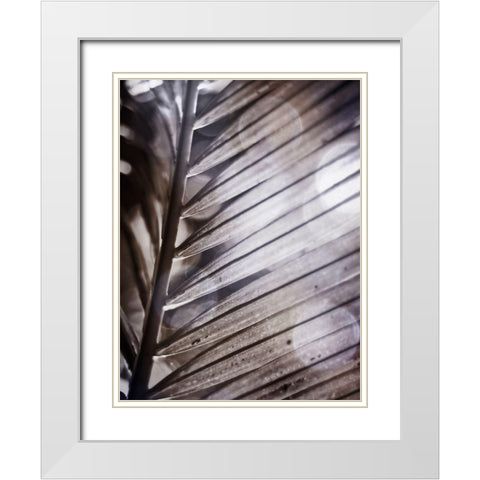 Silvery Frond II White Modern Wood Framed Art Print with Double Matting by Robinson, Emily