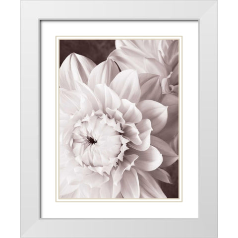 BandW Dahlias I White Modern Wood Framed Art Print with Double Matting by Zalewski, Christine