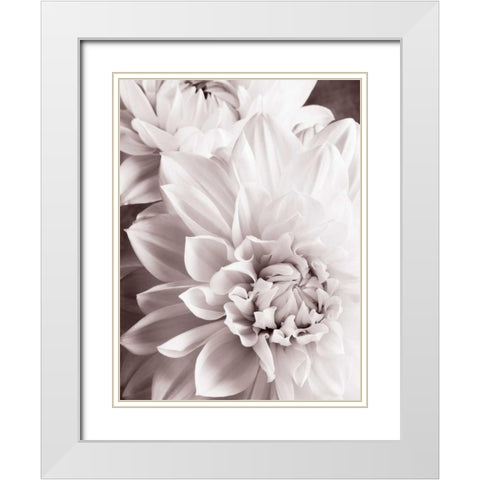 BandW Dahlias II White Modern Wood Framed Art Print with Double Matting by Zalewski, Christine