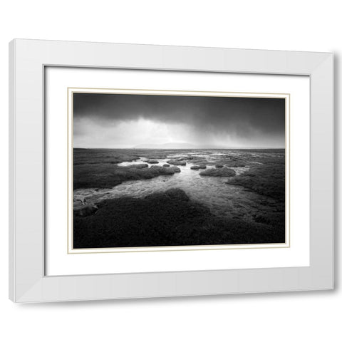 Scale Moor White Modern Wood Framed Art Print with Double Matting by Henson, Martin
