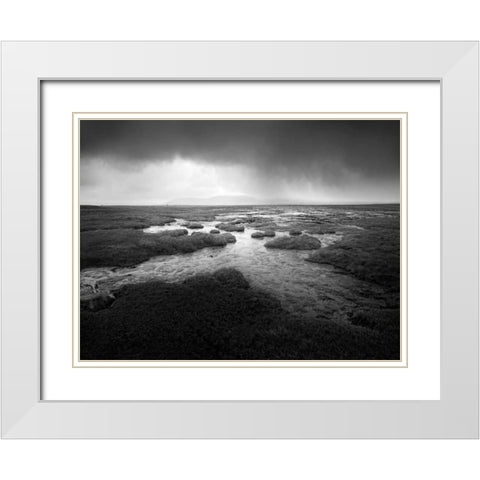 Scale Moor White Modern Wood Framed Art Print with Double Matting by Henson, Martin