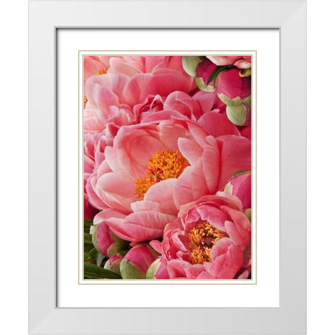 Coral Peonies II White Modern Wood Framed Art Print with Double Matting by Perry, Rachel