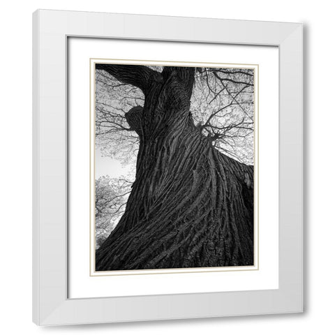 Twister White Modern Wood Framed Art Print with Double Matting by Henson, Martin