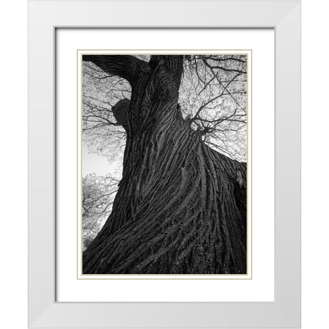 Twister White Modern Wood Framed Art Print with Double Matting by Henson, Martin