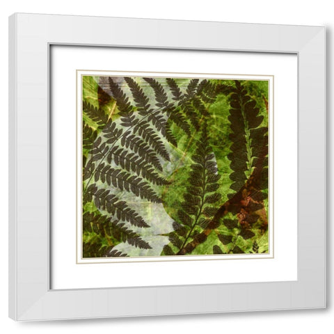 Shade I White Modern Wood Framed Art Print with Double Matting by Archie, K.