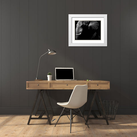 Wildlife Scratchboards III White Modern Wood Framed Art Print with Double Matting by Chapman, Julie T.