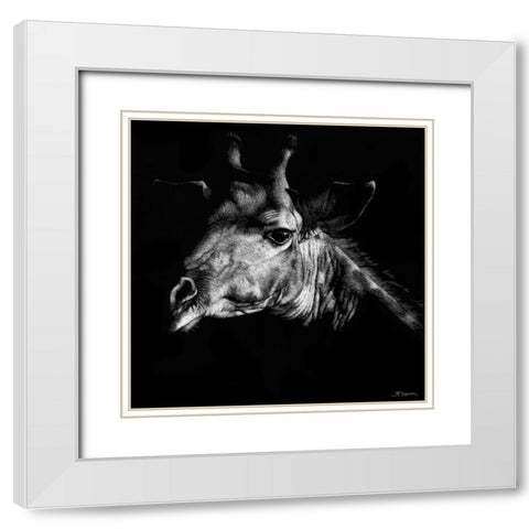 Wildlife Scratchboards VI White Modern Wood Framed Art Print with Double Matting by Chapman, Julie T.