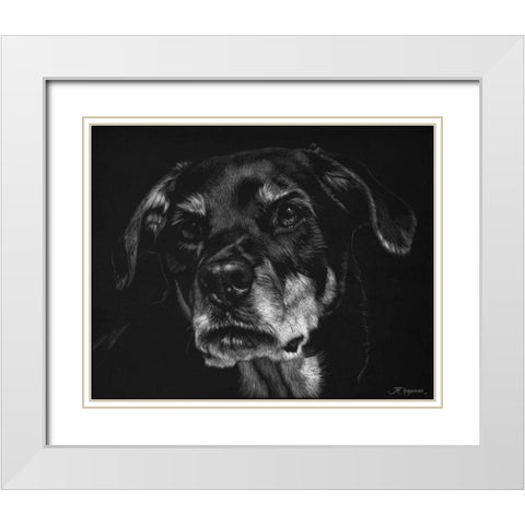 Canine Scratchboard XXII White Modern Wood Framed Art Print with Double Matting by Chapman, Julie T.