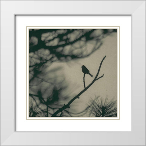 Caligraphy Bird I White Modern Wood Framed Art Print with Double Matting by Ray, Elena