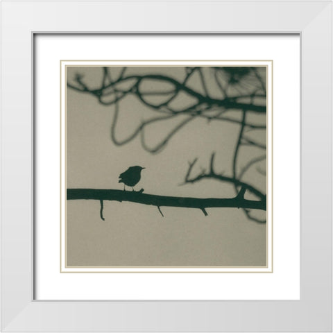 Caligraphy Bird II White Modern Wood Framed Art Print with Double Matting by Ray, Elena