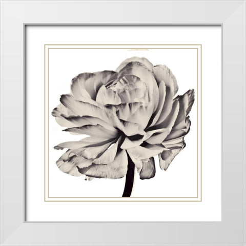 Ghost Flower II White Modern Wood Framed Art Print with Double Matting by Zalewski, Christine