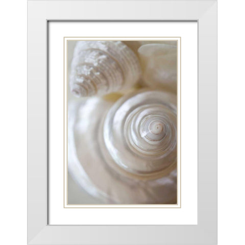 Pearlesce I White Modern Wood Framed Art Print with Double Matting by Zalewski, Christine