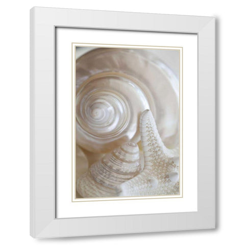 Pearlesce III White Modern Wood Framed Art Print with Double Matting by Zalewski, Christine