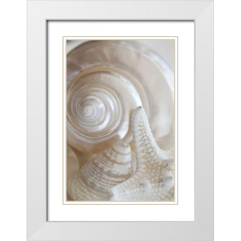 Pearlesce III White Modern Wood Framed Art Print with Double Matting by Zalewski, Christine