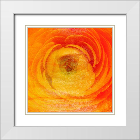Relatives I White Modern Wood Framed Art Print with Double Matting by Harrington, Danielle