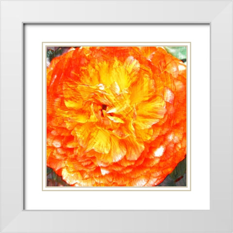 Relatives II White Modern Wood Framed Art Print with Double Matting by Harrington, Danielle