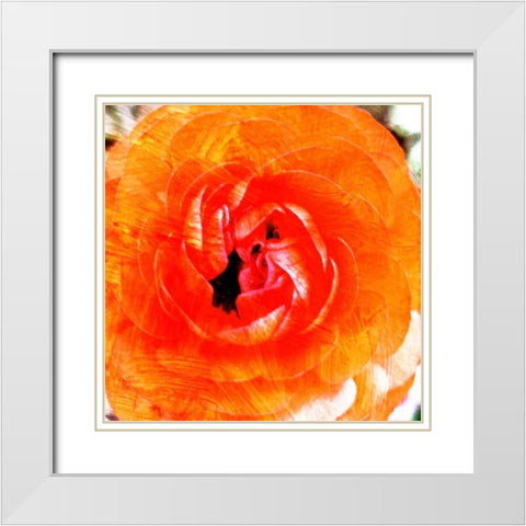 Relatives III White Modern Wood Framed Art Print with Double Matting by Harrington, Danielle