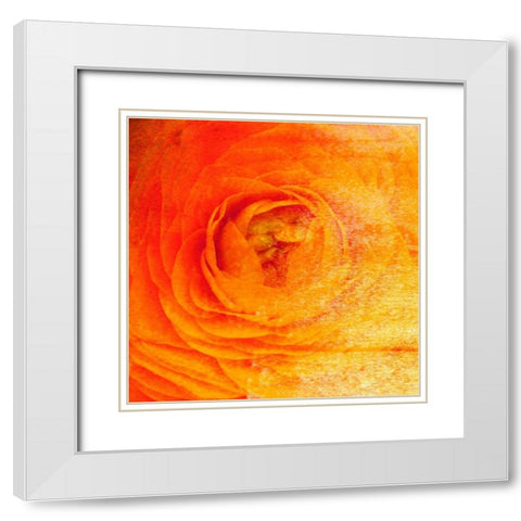 Relatives IV White Modern Wood Framed Art Print with Double Matting by Harrington, Danielle