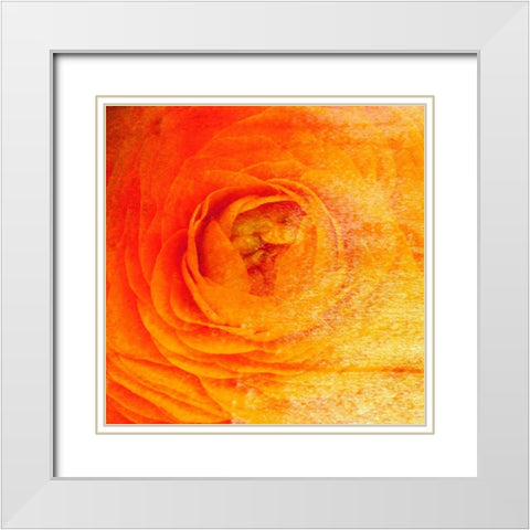 Relatives IV White Modern Wood Framed Art Print with Double Matting by Harrington, Danielle