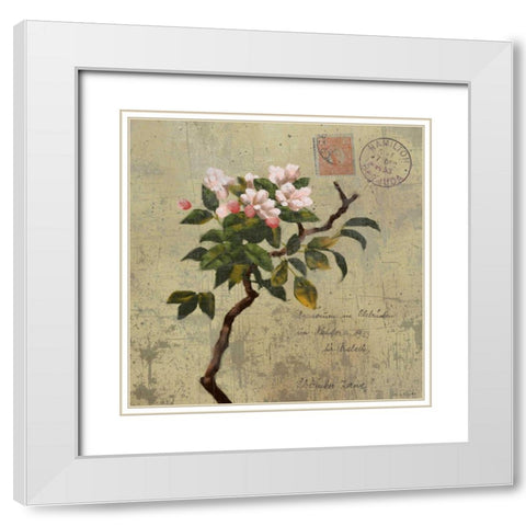 Postage I White Modern Wood Framed Art Print with Double Matting by Novak, Rick