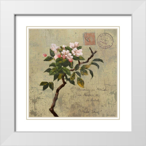 Postage I White Modern Wood Framed Art Print with Double Matting by Novak, Rick