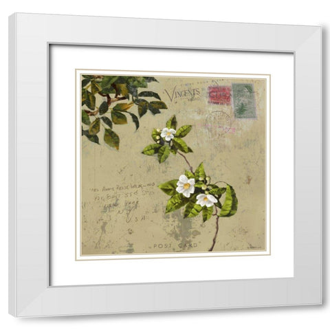 Postage III White Modern Wood Framed Art Print with Double Matting by Novak, Rick