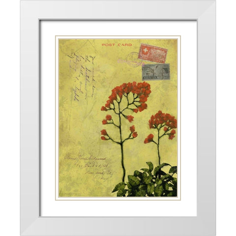 Postage VII White Modern Wood Framed Art Print with Double Matting by Novak, Rick