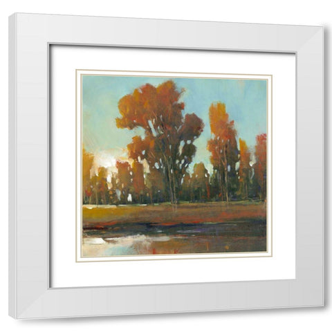 Late Afternoon Fall White Modern Wood Framed Art Print with Double Matting by OToole, Tim