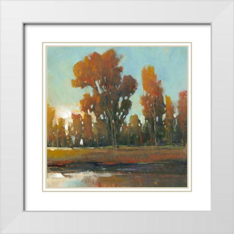 Late Afternoon Fall White Modern Wood Framed Art Print with Double Matting by OToole, Tim