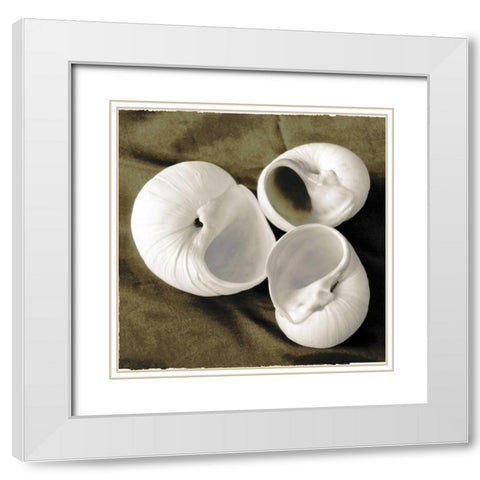 Equalized Shell Trio II White Modern Wood Framed Art Print with Double Matting by James, Andrea