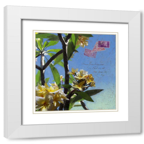 Plumeria and Postage IV White Modern Wood Framed Art Print with Double Matting by Novak, Rick