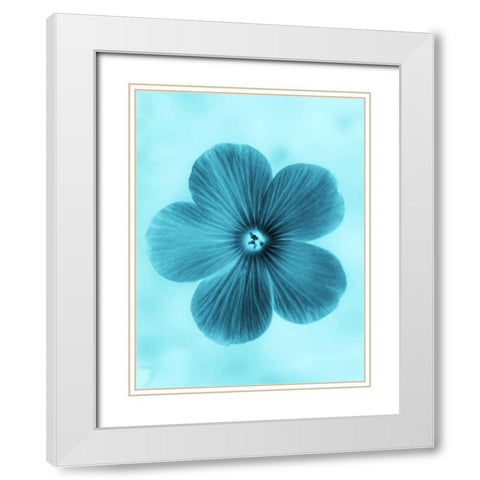 Forget Me Not Blue II White Modern Wood Framed Art Print with Double Matting by Teton Parchment