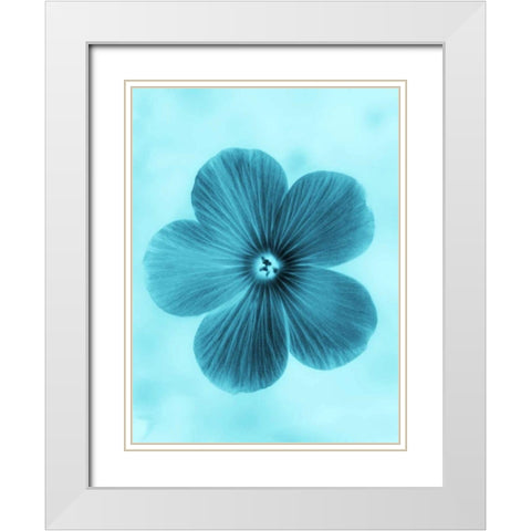 Forget Me Not Blue II White Modern Wood Framed Art Print with Double Matting by Teton Parchment