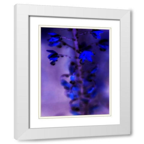 Morning Rain III White Modern Wood Framed Art Print with Double Matting by Teton Parchment