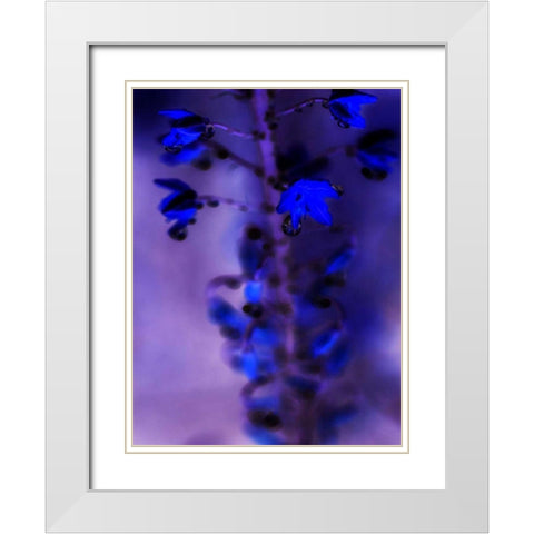 Morning Rain III White Modern Wood Framed Art Print with Double Matting by Teton Parchment