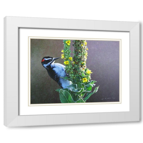 Woodpecker Mullen White Modern Wood Framed Art Print with Double Matting by Vest, Chris