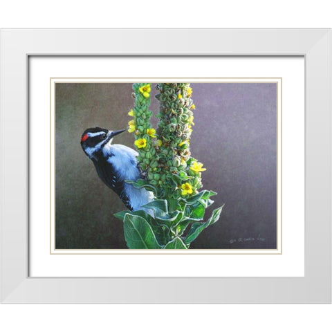 Woodpecker Mullen White Modern Wood Framed Art Print with Double Matting by Vest, Chris