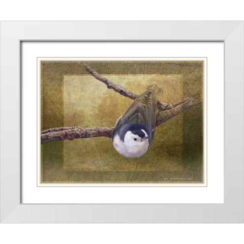 Nuthatch White Modern Wood Framed Art Print with Double Matting by Vest, Chris