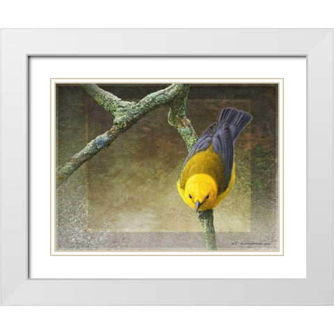 Prothonotary White Modern Wood Framed Art Print with Double Matting by Vest, Chris