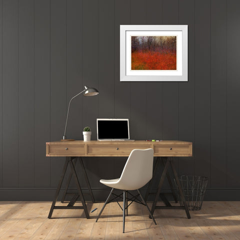 Red Grass I White Modern Wood Framed Art Print with Double Matting by Vest, Chris