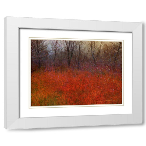 Red Grass I White Modern Wood Framed Art Print with Double Matting by Vest, Chris