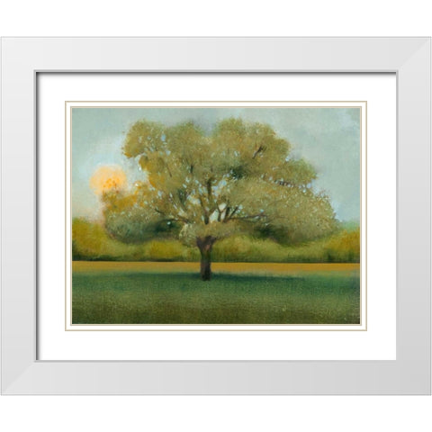 Sunrise II White Modern Wood Framed Art Print with Double Matting by OToole, Tim