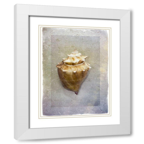 Sheltered I White Modern Wood Framed Art Print with Double Matting by Hartson-Weddle, Ryan