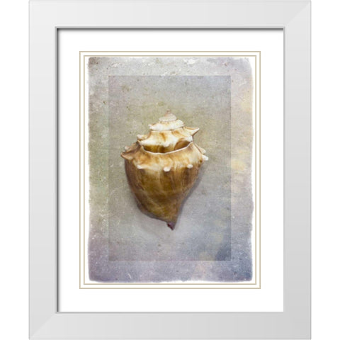 Sheltered I White Modern Wood Framed Art Print with Double Matting by Hartson-Weddle, Ryan