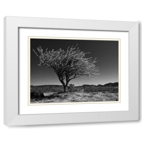 Start Spring Tree White Modern Wood Framed Art Print with Double Matting by Nalbandian, Nish
